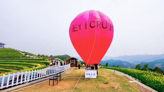 ‌富阳黑山顶梯田油菜花 景点图 534_17