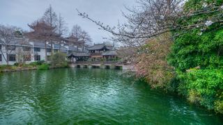 中国院子·梦溪苑 景点图 535_14
