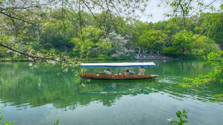 乌龟潭景区 景点图 539_11