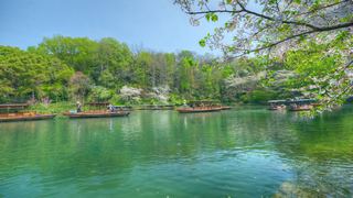 乌龟潭景区 景点图 539_13