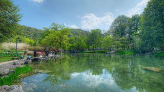 太子湾樱花、郁金香 景点图 540_19