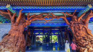 根宫佛国文化旅游区 景点图 543_8