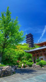 根宫佛国文化旅游区 景点图 543_11