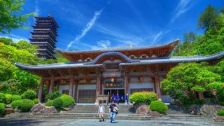 根宫佛国文化旅游区 景点图 543_12