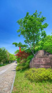 诸葛八卦村 景点图 544_6