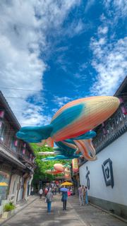 京杭大运河拱宸桥 景点图 549_7