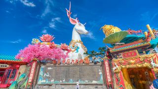 安吉云上草原 景点图 550_8