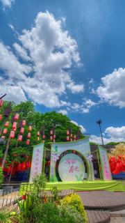 安昌古镇 景点图 555_13