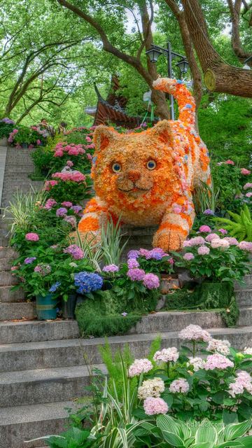 吴山城隍阁绣球花展