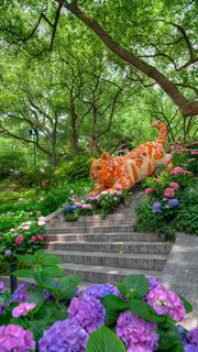 吴山城隍阁绣球花展 景点图 558_5