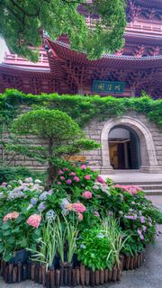 吴山城隍阁绣球花展 景点图 558_10