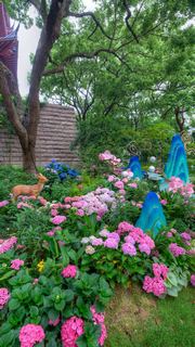 吴山城隍阁绣球花展 景点图 558_11