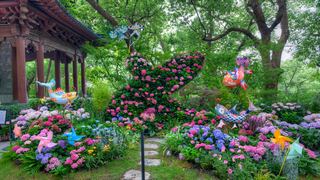 吴山城隍阁绣球花展 景点图 558_12