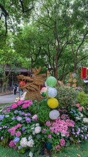 吴山城隍阁绣球花展 景点图 558_14