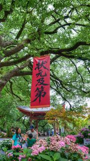 吴山城隍阁绣球花展 景点图 558_17