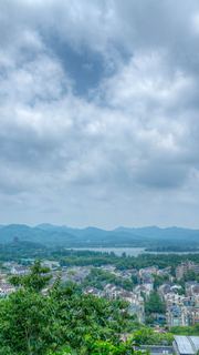 吴山城隍阁绣球花展 景点图 558_19