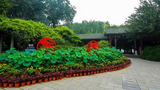 大明湖 景点图 56_3