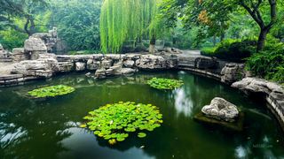 大明湖 景点图 56_4