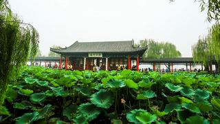 大明湖 景点图 56_7