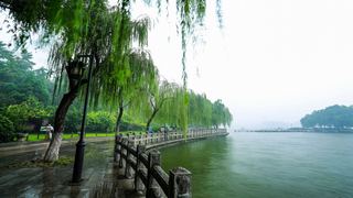 大明湖 景点图 56_9