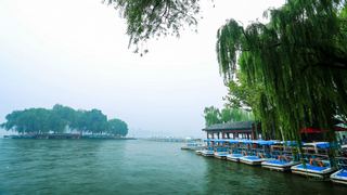 大明湖 景点图 56_10