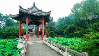 大明湖 景点图 56_11