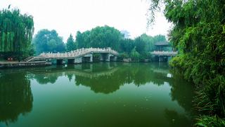 大明湖 景点图 56_15