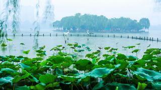 大明湖 景点图 56_18