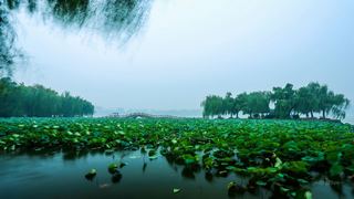 大明湖 景点图 56_19
