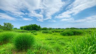 良渚古城遗址公园 景点图 560_8