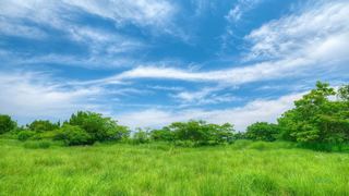 良渚古城遗址公园 景点图 560_10