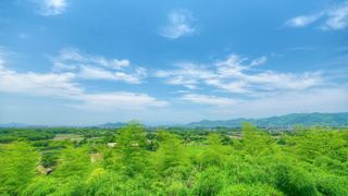 良渚古城遗址公园 景点图 560_16