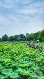 湘湖荷花庄 景点图 561_3
