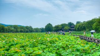 湘湖荷花庄 景点图 561_7