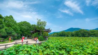 湘湖荷花庄 景点图 561_8