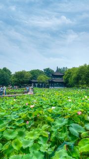 湘湖荷花庄 景点图 561_13