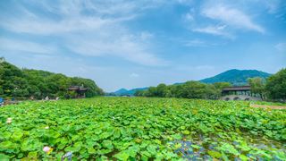 湘湖荷花庄 景点图 561_15