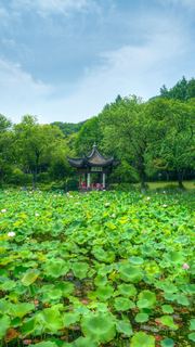 湘湖荷花庄 景点图 561_16