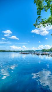 2026西湖曲院风荷、郭庄、断桥夏日荷花 景点图 569_4
