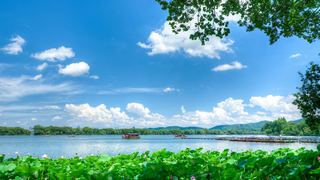 2026西湖曲院风荷、郭庄、断桥夏日荷花 景点图 569_8