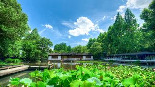 2026西湖曲院风荷、郭庄、断桥夏日荷花 景点图 569_9