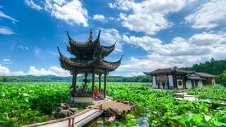 2026西湖曲院风荷、郭庄、断桥夏日荷花 景点图 569_14