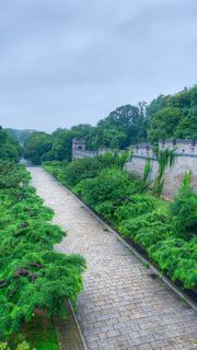 山海关景区·老龙头 景点图 576_7