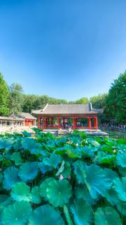 恭王府 景点图 577_15