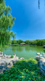 大观园 景点图 579_9