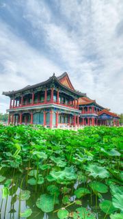 龙潭公园 景点图 583_3