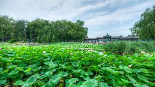 龙潭公园 景点图 583_5