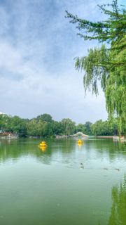 龙潭公园 景点图 583_17