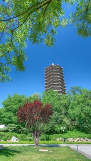 北京大学 景点图 588_2
