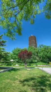 北京大学 景点图 588_17